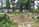 sc_background_image.jpg