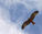 sc_background_image.jpg
