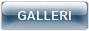 GALLERI